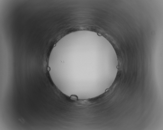 X0000102410427200808011020