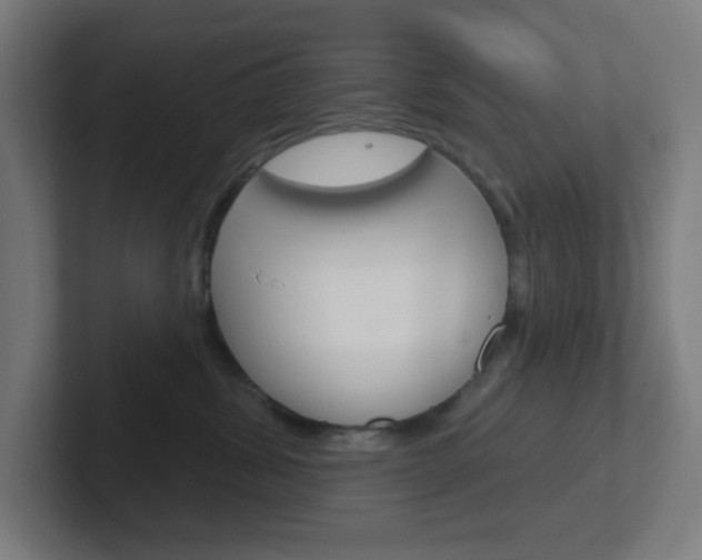 X0000102410428200808011020