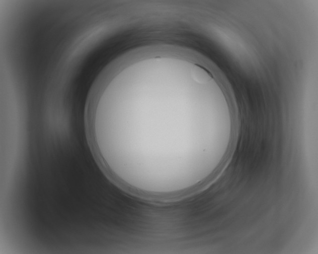 X0000102410431200808011020