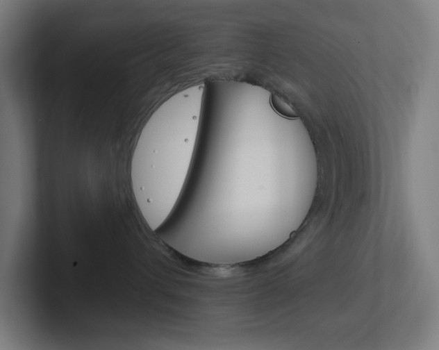 X0000102410432200808011020