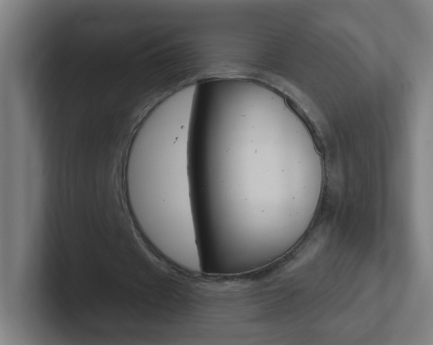 X0000102410433200808011019