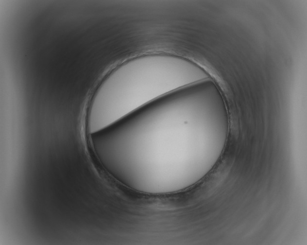 X0000102410434200808011019