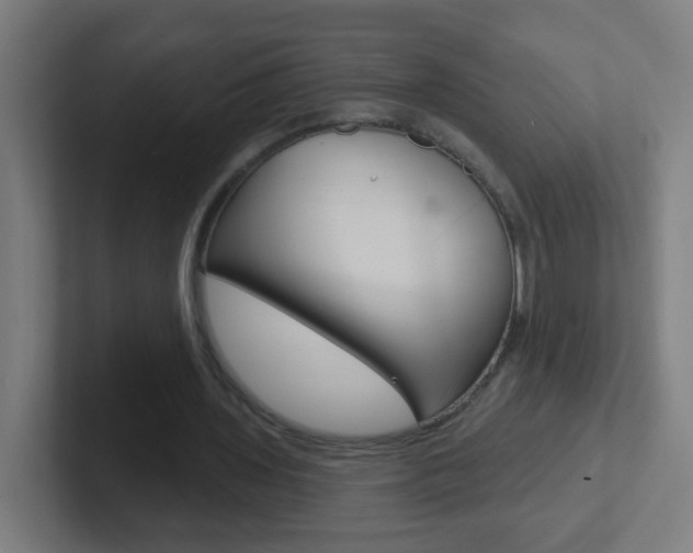 X0000102410435200808011019