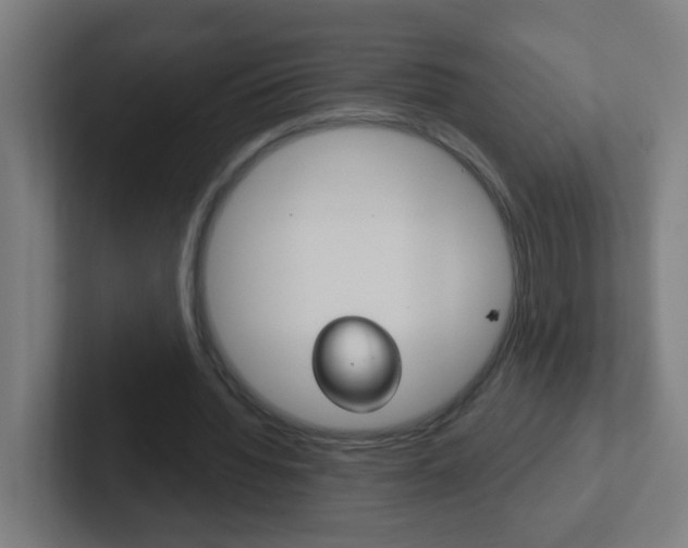 X0000102410436200808011019