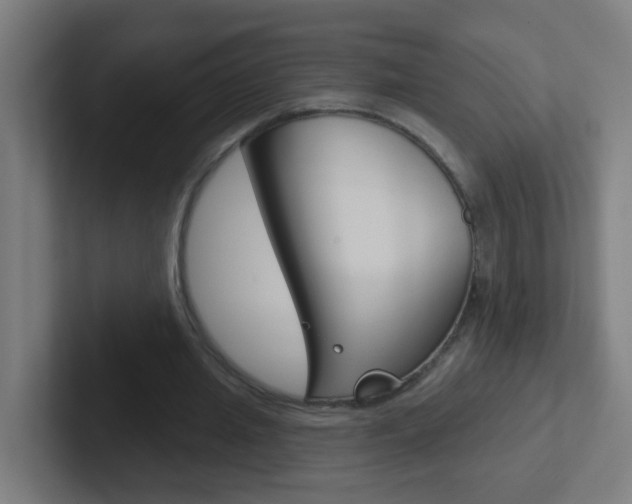X0000102410437200808011019