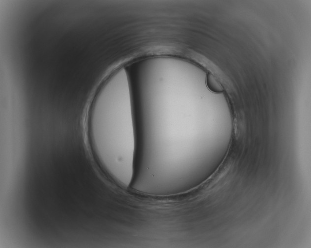 X0000102410438200808011019