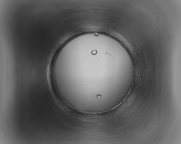 X0000102410439200808011019