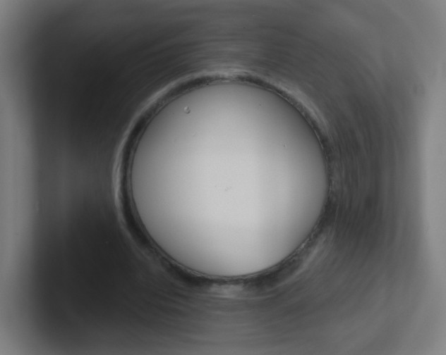 X0000102410440200808011019