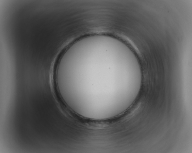 X0000102410443200808011019