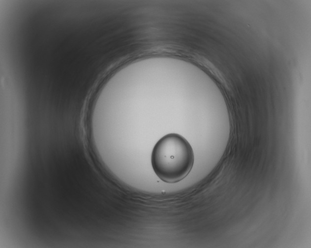 X0000102410444200808011019
