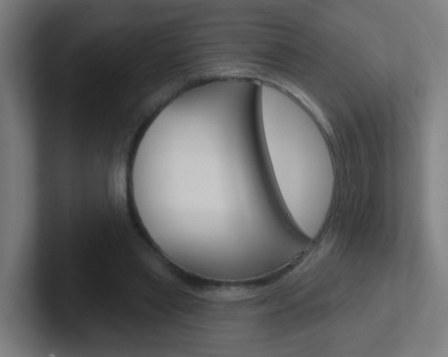 X0000102410445200808011019