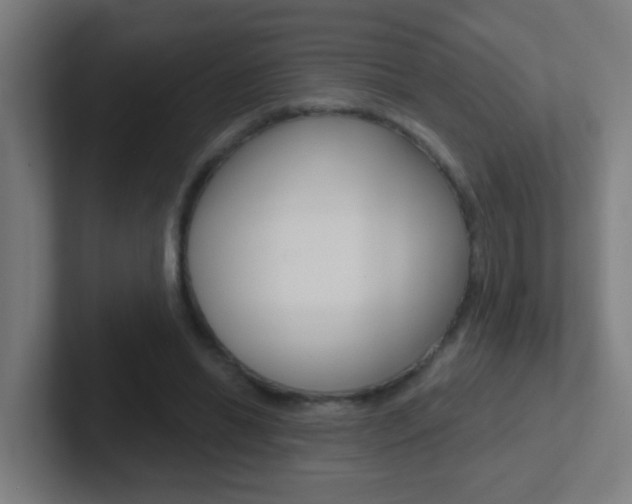 X0000102410446200808011019