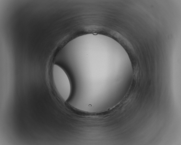 X0000102410448200808011019