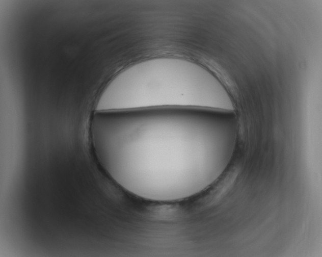 X0000102410449200808011019