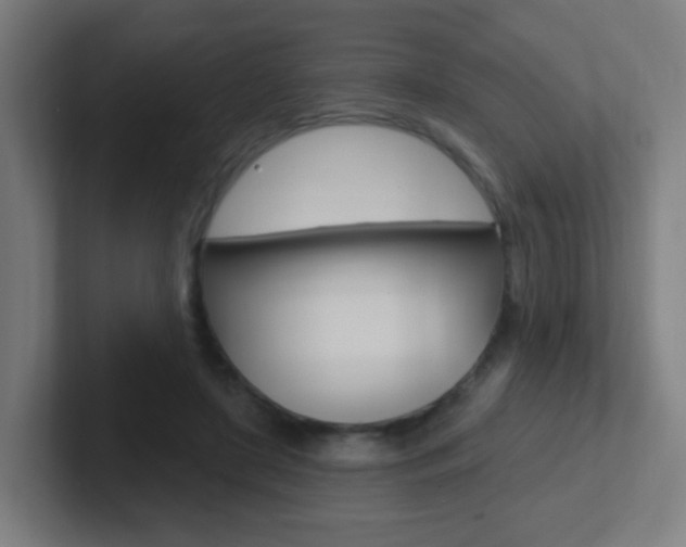 X0000102410451200808011019