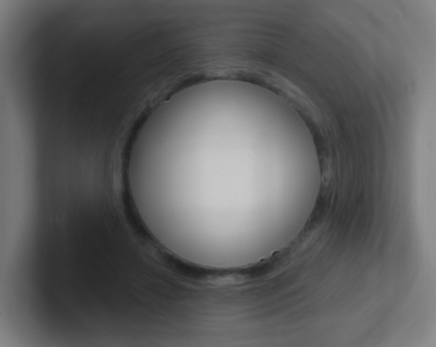 X0000102410452200808011019