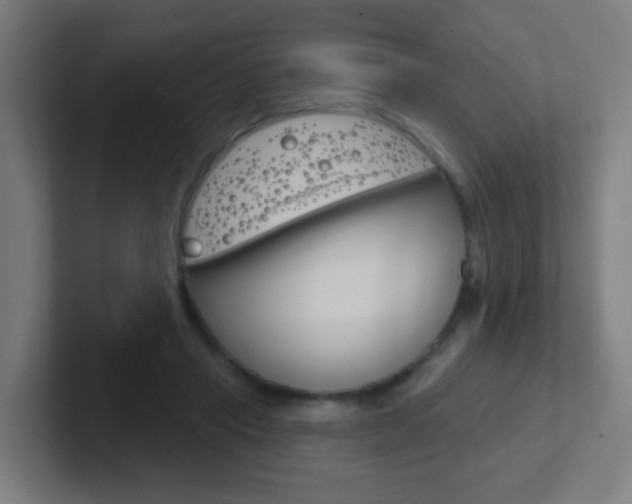 X0000102410453200808011019
