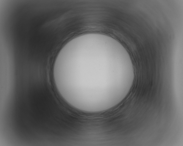 X0000102410456200808011019