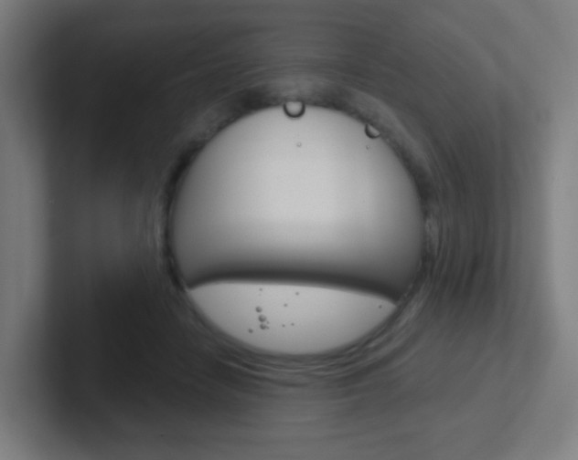 X0000102410458200808011019