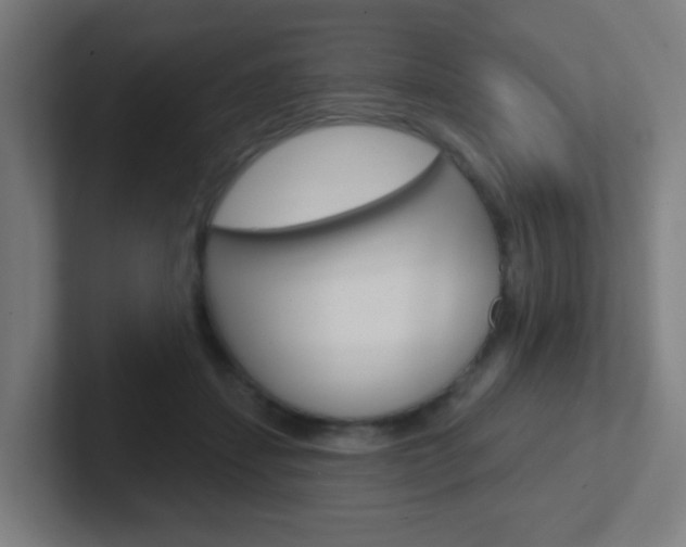 X0000102410459200808011019