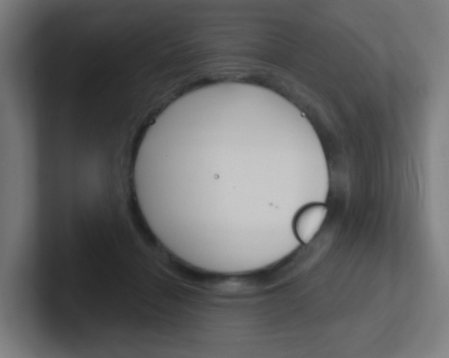 X0000102410460200808011020