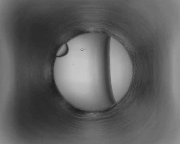 X0000102410461200808011020