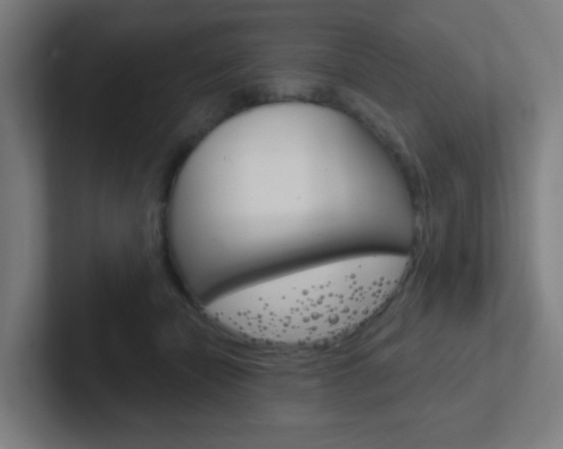 X0000102410462200808011020
