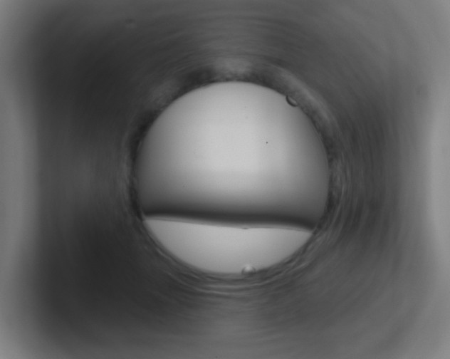 X0000102410463200808011020
