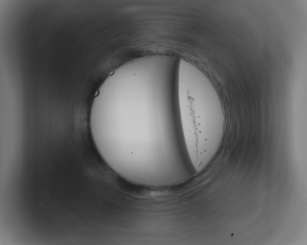 X0000102410466200808011020