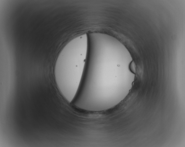 X0000102410470200808011020