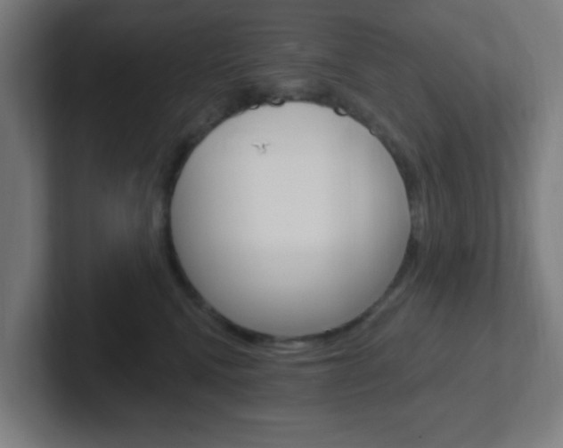 X0000102410472200808011020