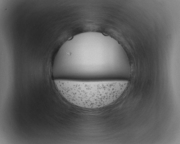 X0000102410474200808011020