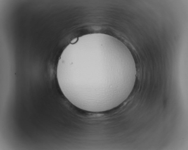 X0000102410476200808011020