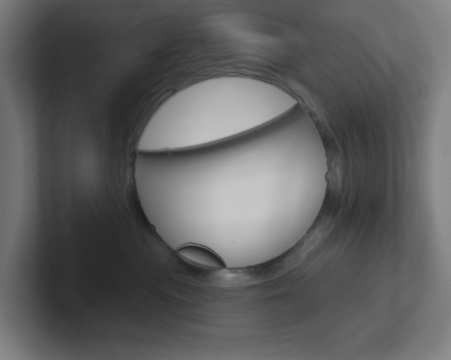 X0000102410477200808011020