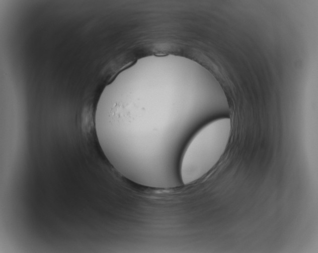 X0000102410478200808011020
