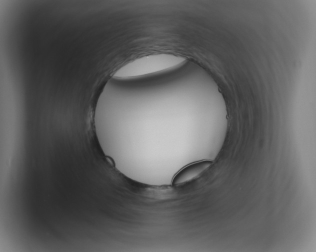 X0000102410480200808011020