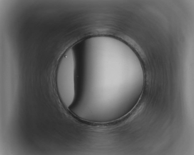 X0000102410481200808011019