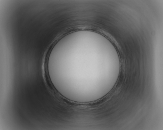 X0000102410482200808011019