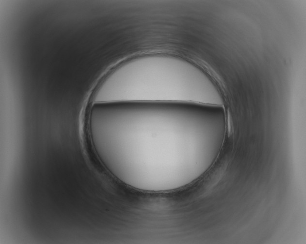 X0000102410483200808011019