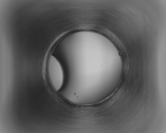 X0000102410484200808011019