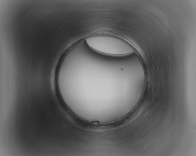 X0000102410485200808011019