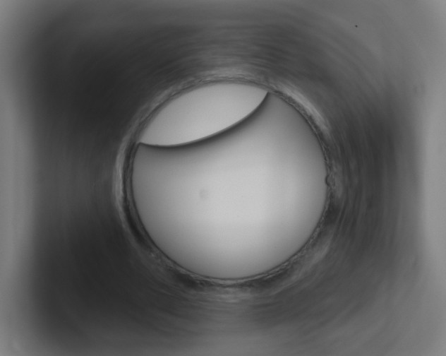 X0000102410486200808011019