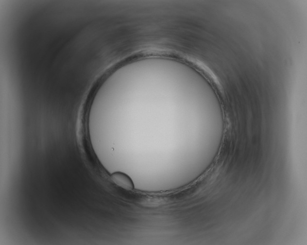 X0000102410487200808011019