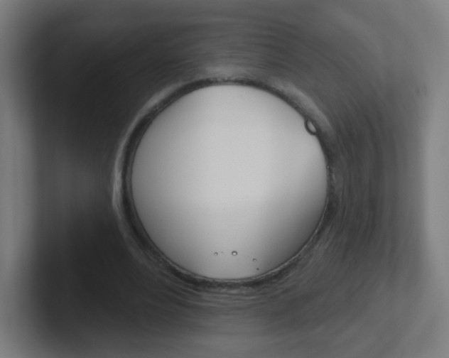 X0000102410488200808011019