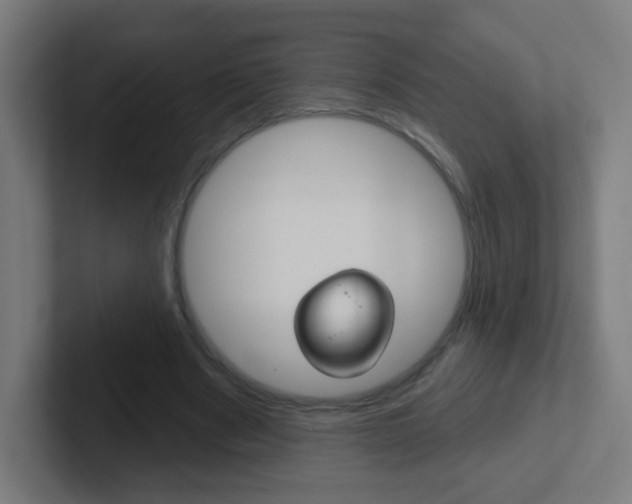 X0000102410489200808011019