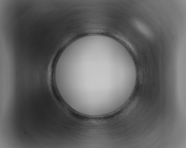 X0000102410490200808011019