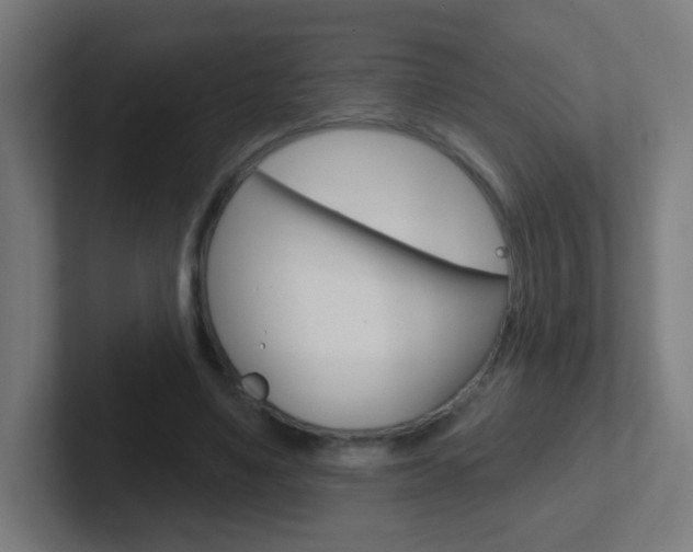 X0000102410491200808011019