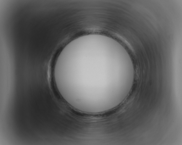 X0000102410494200808011019