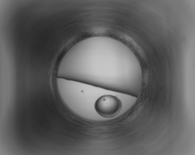 X0000102410495200808011019