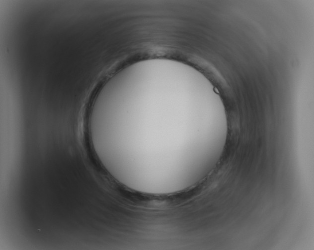 X0000102410496200808011019